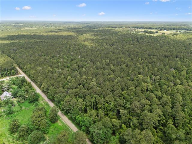 2 6.49) Acres Bruhl Road Folsom, LA 70437 - Photo 13 of 14