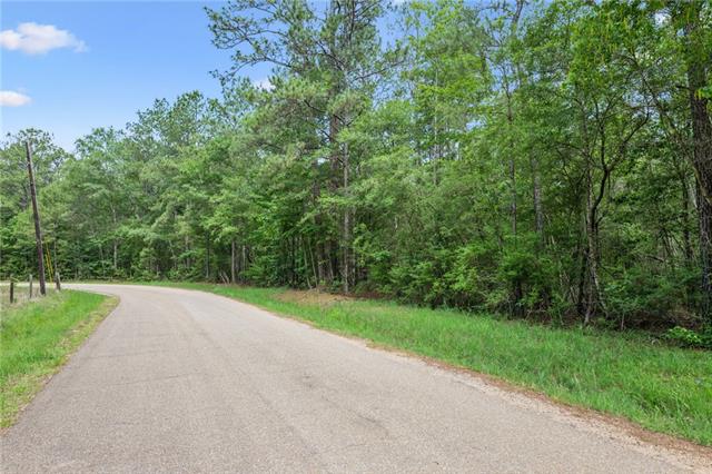 2 6.49) Acres Bruhl Road Folsom, LA 70437 - Photo 5 of 14