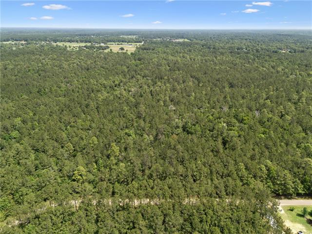 2 6.49) Acres Bruhl Road Folsom, LA 70437 - Photo 6 of 14