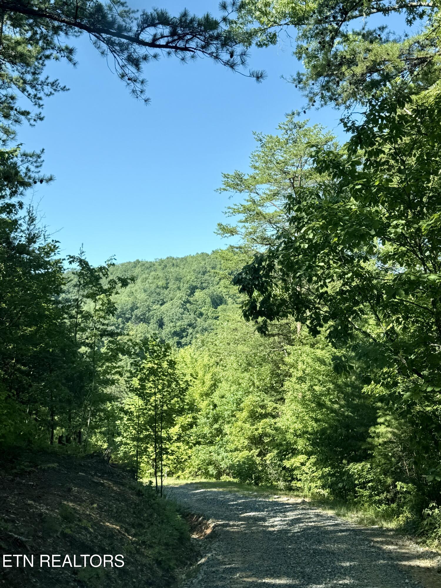 1600 Chestnut Valley Road Vonore, TN 37885 - Photo 26 of 36 IMG_1356