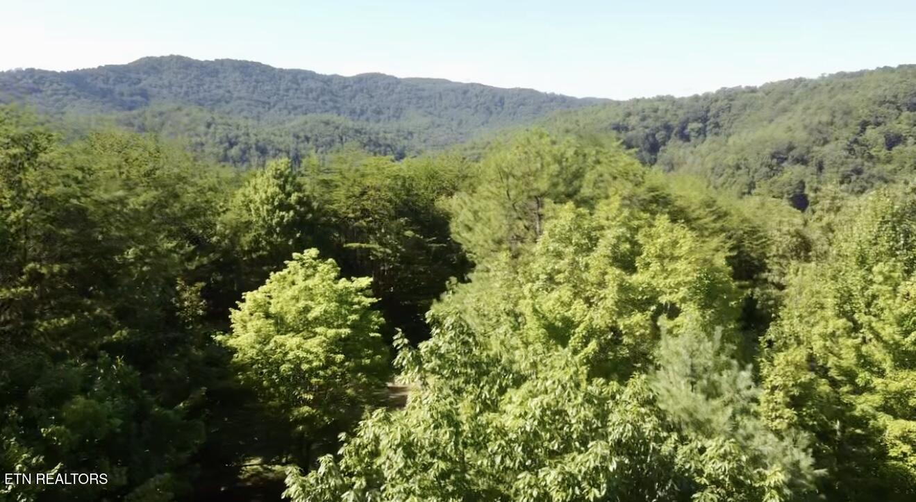 1600 Chestnut Valley Road Vonore, TN 37885 - Photo 27 of 36 IMG_1505