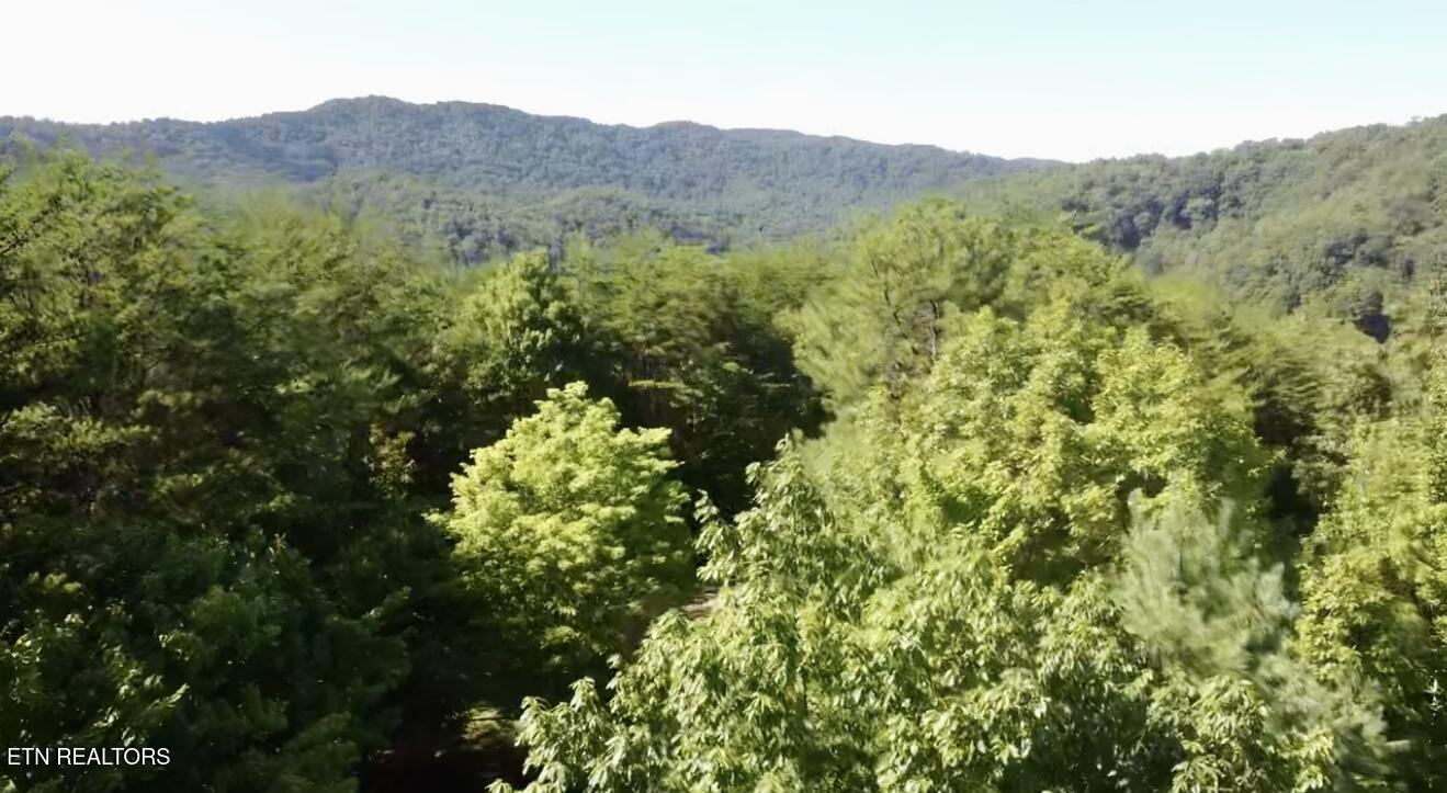 1600 Chestnut Valley Road Vonore, TN 37885 - Photo 29 of 36 IMG_1507
