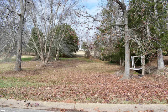 $389,900 | 381 Royal Burgess Drive, Campobello, SC 29322