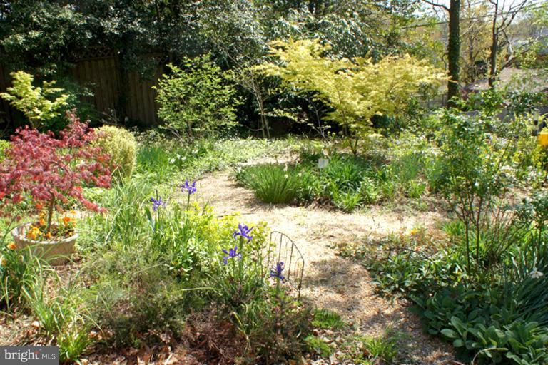 1421 Oak Bluff Road Edgewater, MD 21037 - Photo 9 of 30 a view of a garden with plants