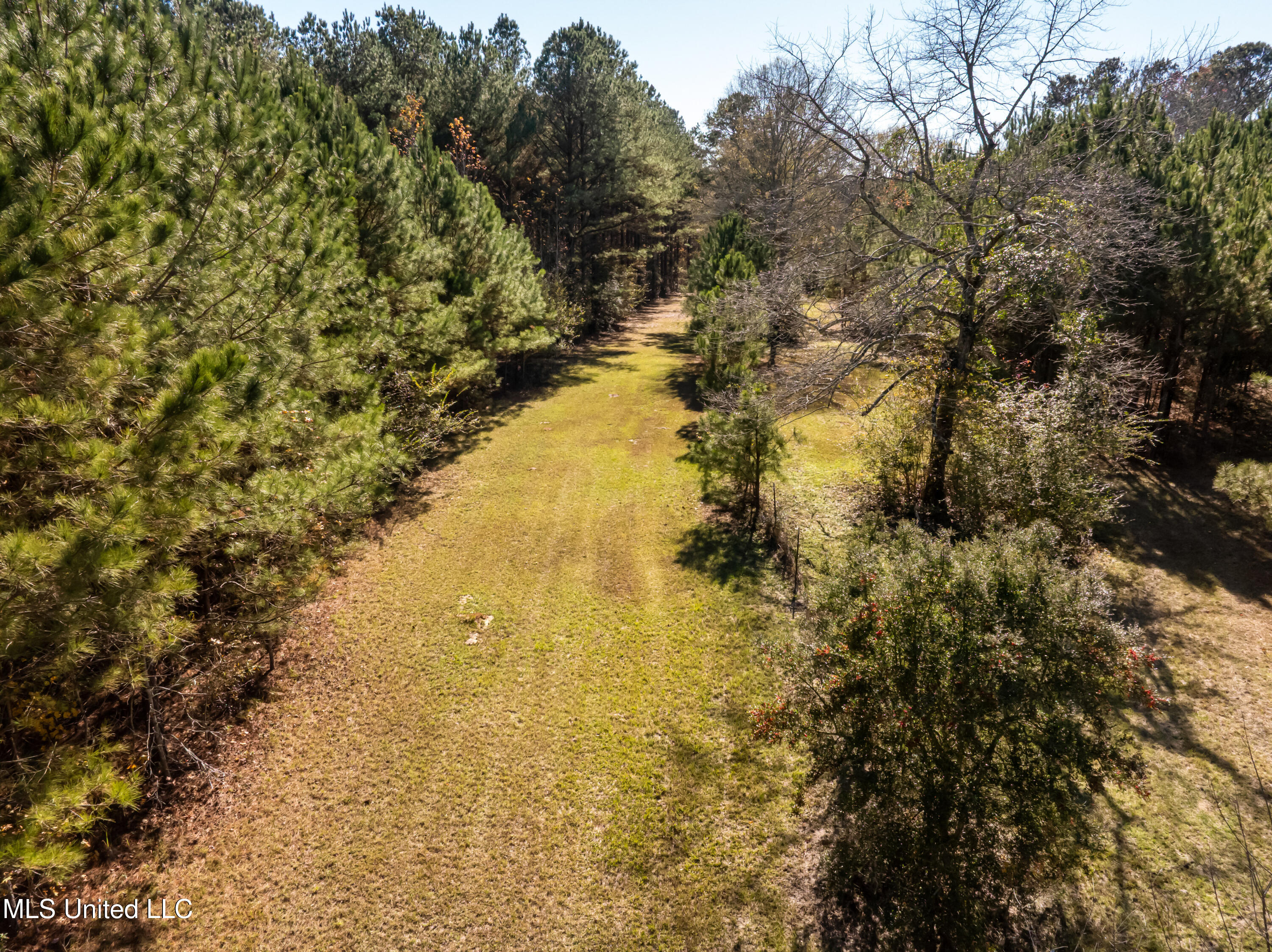 5844 North Williamsburg Road Bassfield, MS 39421 - Photo 83 of 105 5844_N_Williamsburg_Rd-73