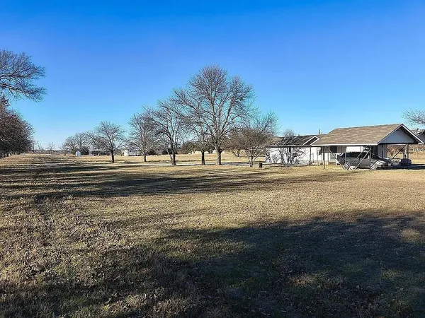 a view of dirt yard with a large trees
