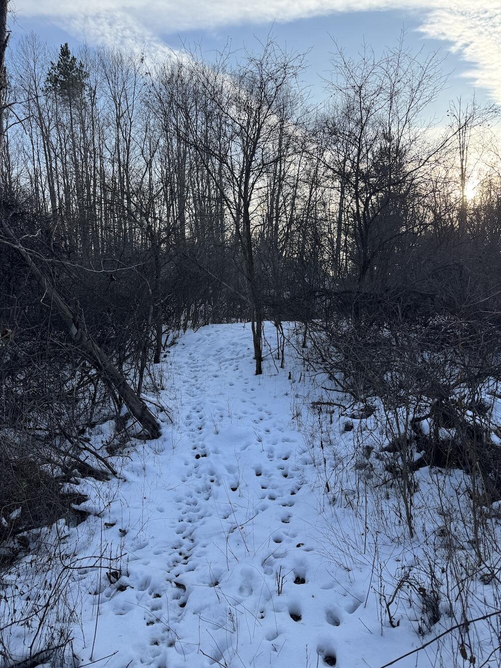 2500 West Quarter Line Road Sanford, MI 48657 - Photo 104 of 241 IMG_8373