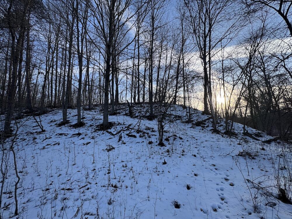 2500 West Quarter Line Road Sanford, MI 48657 - Photo 106 of 241 IMG_8375