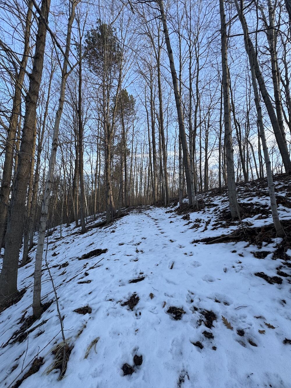 2500 West Quarter Line Road Sanford, MI 48657 - Photo 111 of 241 IMG_8383