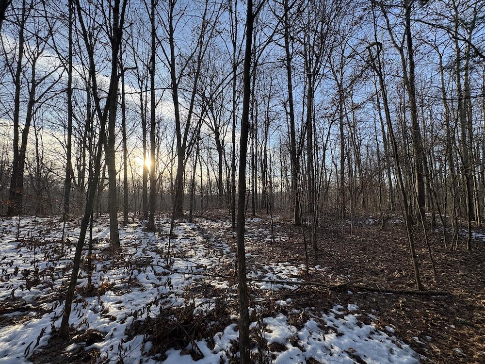 2500 West Quarter Line Road Sanford, MI 48657 - Photo 117 of 241 IMG_8392