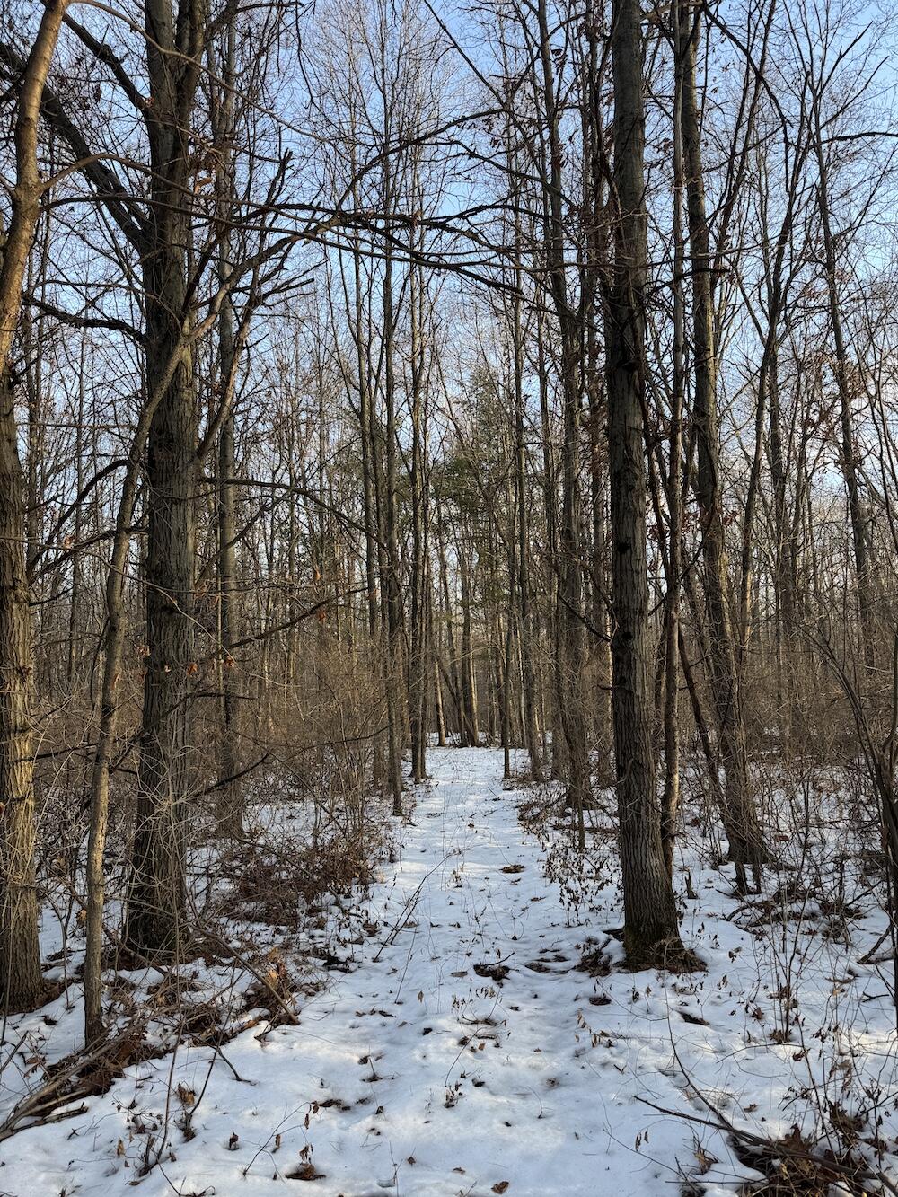 2500 West Quarter Line Road Sanford, MI 48657 - Photo 118 of 241 IMG_8393