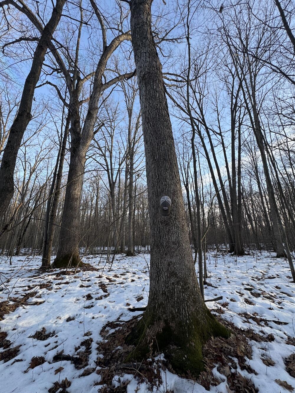 2500 West Quarter Line Road Sanford, MI 48657 - Photo 124 of 241 IMG_8399