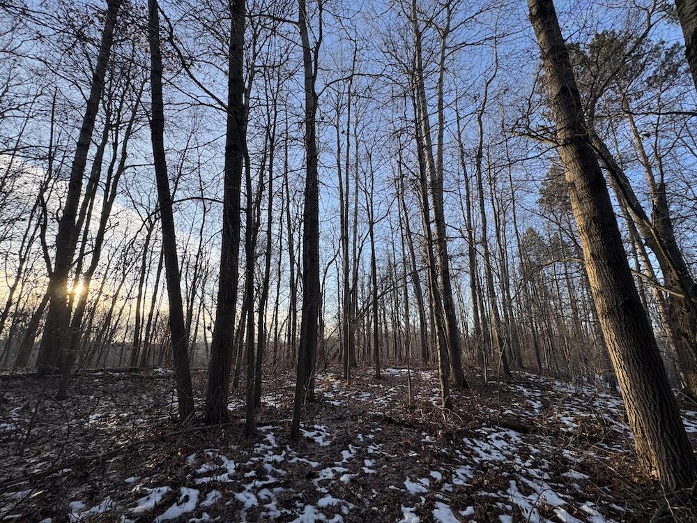 2500 West Quarter Line Road Sanford, MI 48657 - Photo 125 of 241 IMG_8400