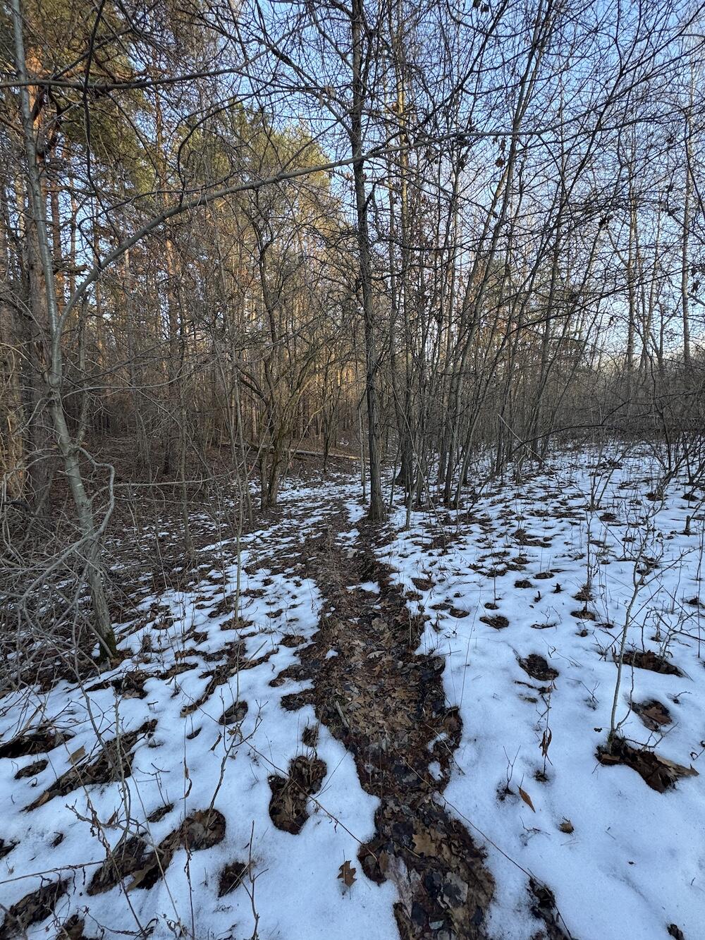 2500 West Quarter Line Road Sanford, MI 48657 - Photo 135 of 241 IMG_8410