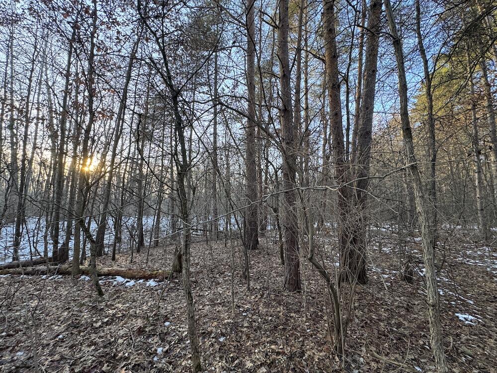 2500 West Quarter Line Road Sanford, MI 48657 - Photo 137 of 241 IMG_8412