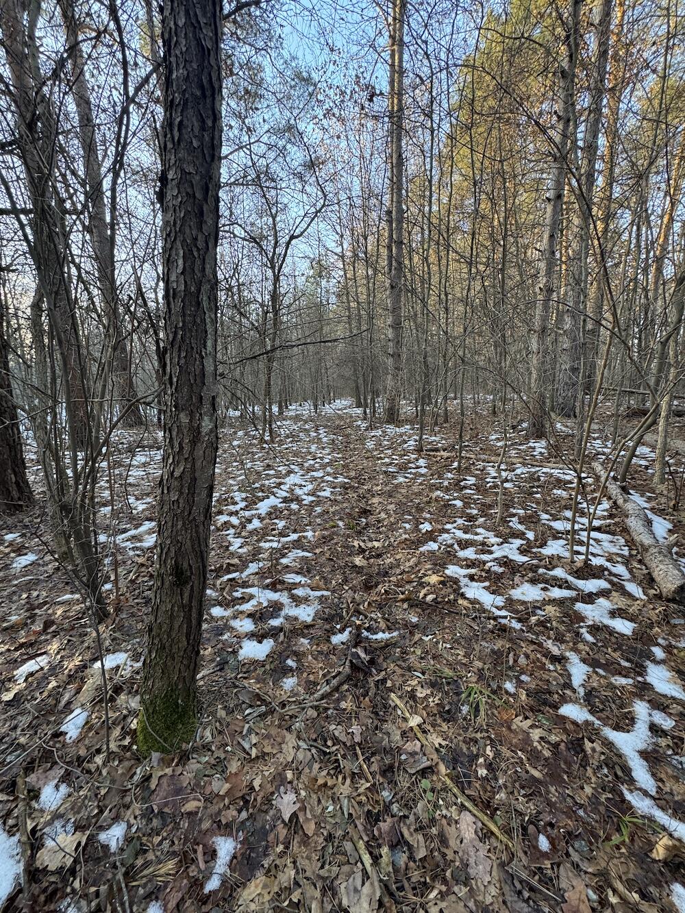 2500 West Quarter Line Road Sanford, MI 48657 - Photo 138 of 241 IMG_8413