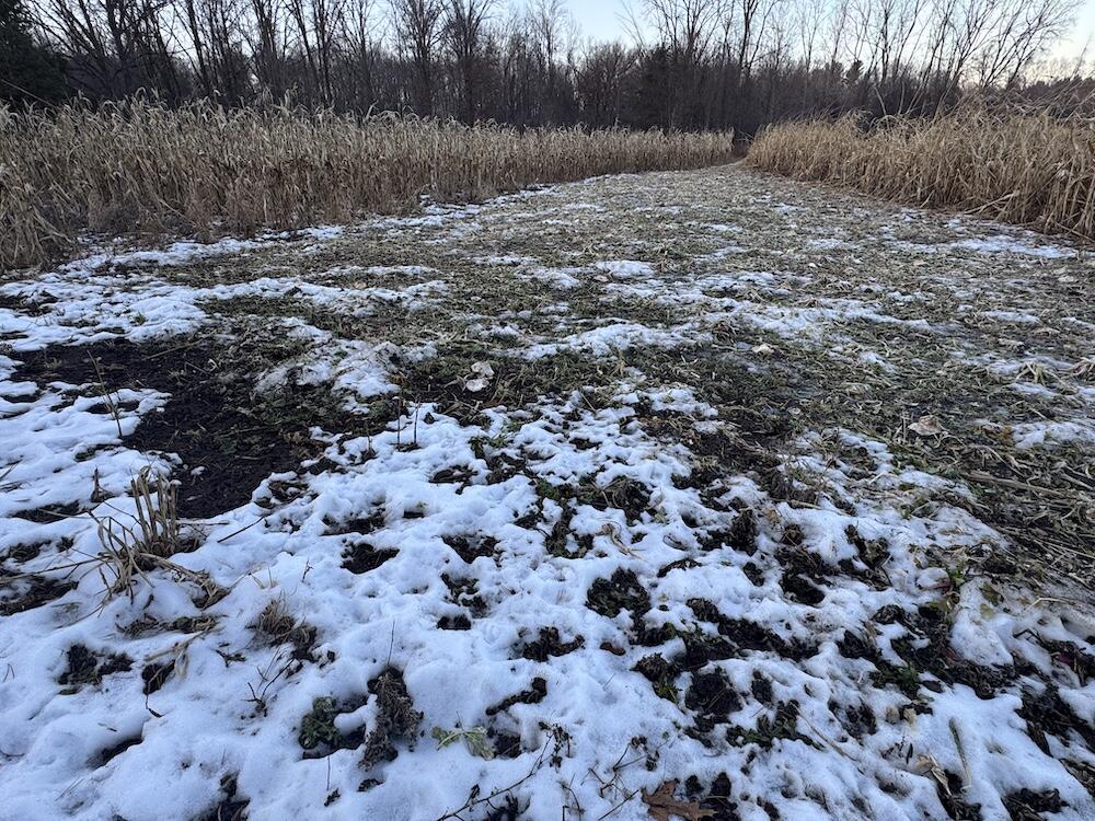 2500 West Quarter Line Road Sanford, MI 48657 - Photo 149 of 241 IMG_8429