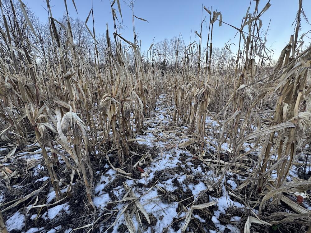 2500 West Quarter Line Road Sanford, MI 48657 - Photo 150 of 241 IMG_8430