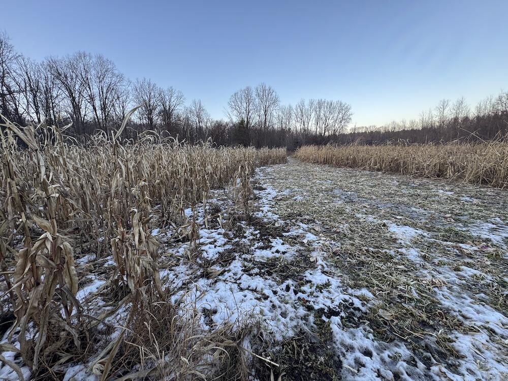 2500 West Quarter Line Road Sanford, MI 48657 - Photo 152 of 241 IMG_8432