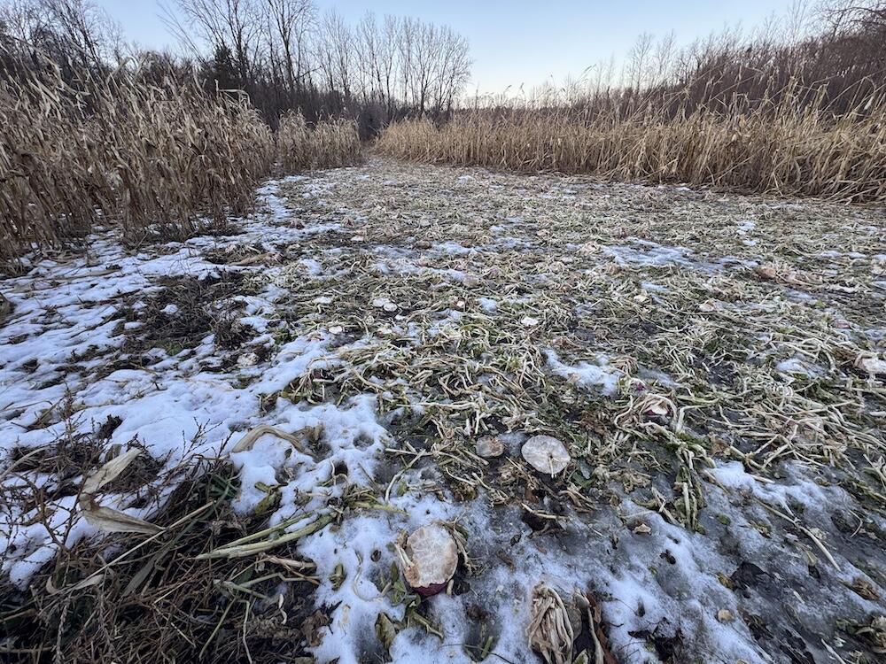 2500 West Quarter Line Road Sanford, MI 48657 - Photo 153 of 241 IMG_8433