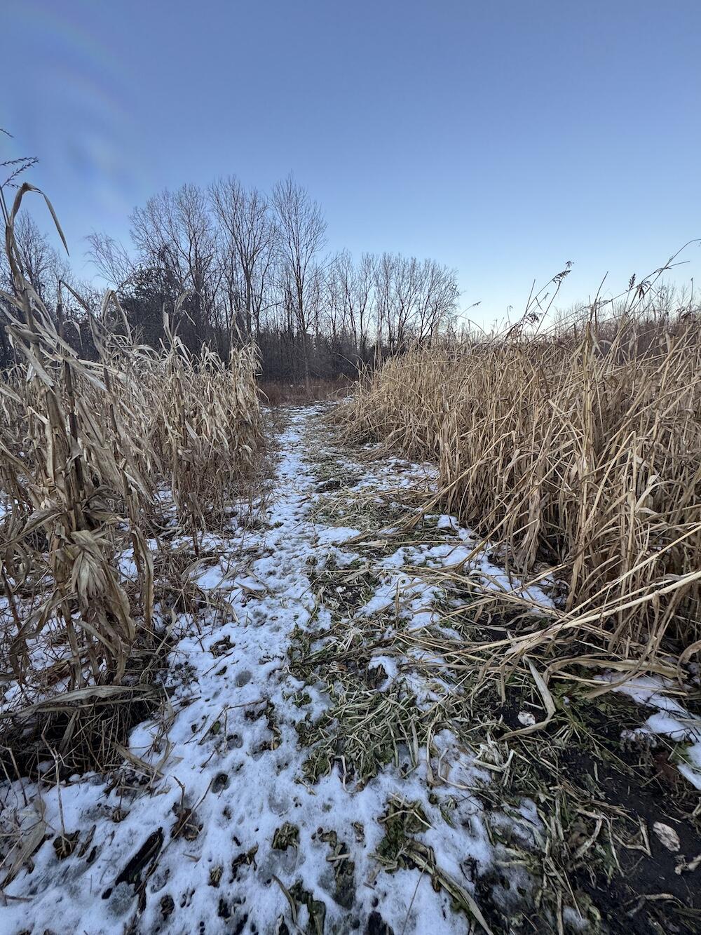 2500 West Quarter Line Road Sanford, MI 48657 - Photo 155 of 241 IMG_8435