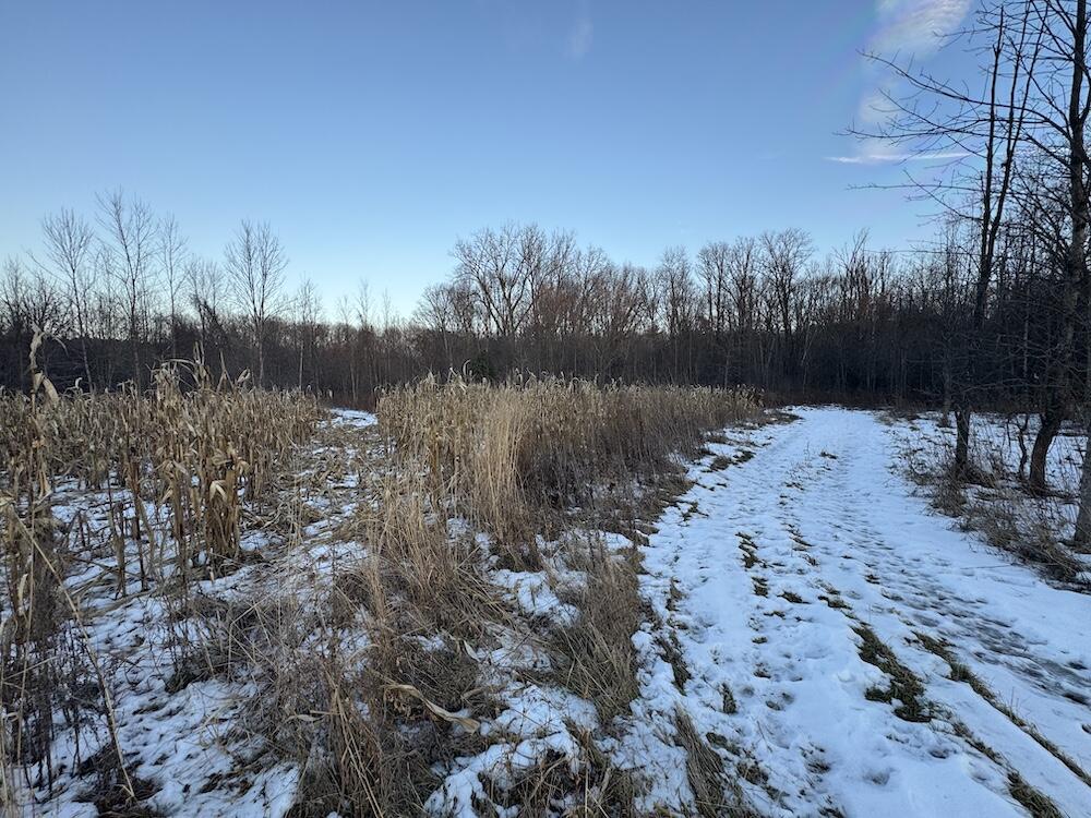 2500 West Quarter Line Road Sanford, MI 48657 - Photo 158 of 241 IMG_8438