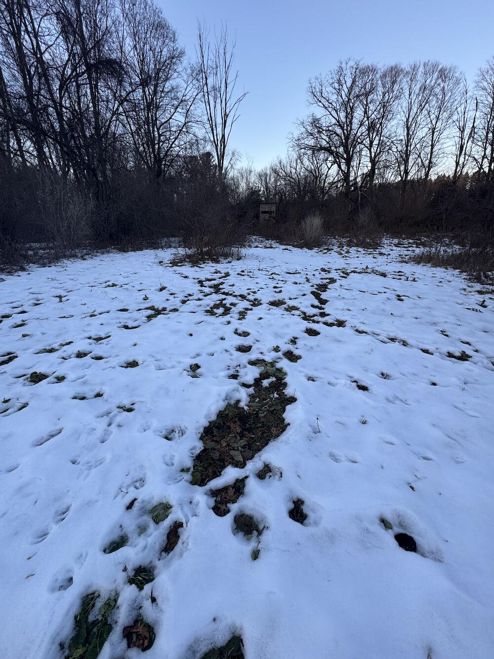 2500 West Quarter Line Road Sanford, MI 48657 - Photo 165 of 241 IMG_8446