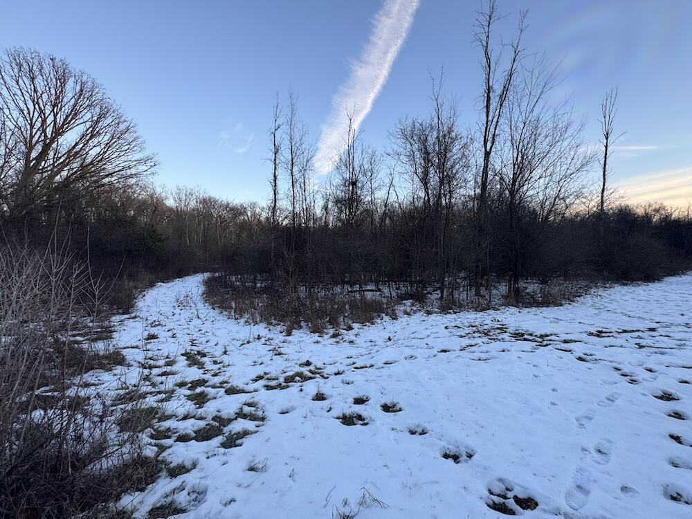 2500 West Quarter Line Road Sanford, MI 48657 - Photo 166 of 241 IMG_8447