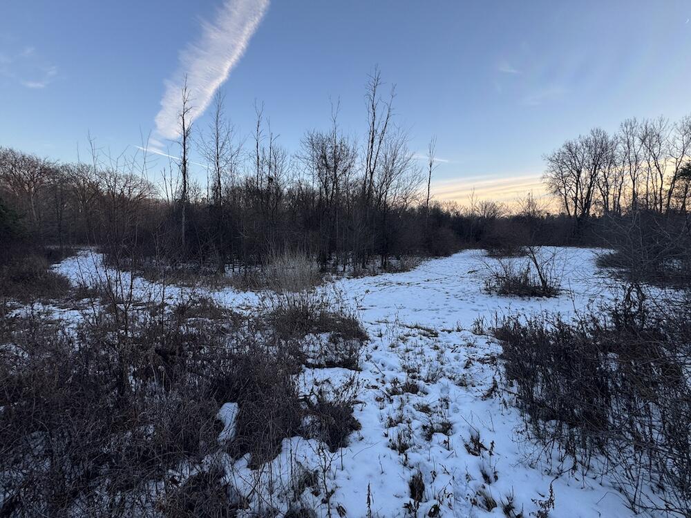 2500 West Quarter Line Road Sanford, MI 48657 - Photo 168 of 241 IMG_8449