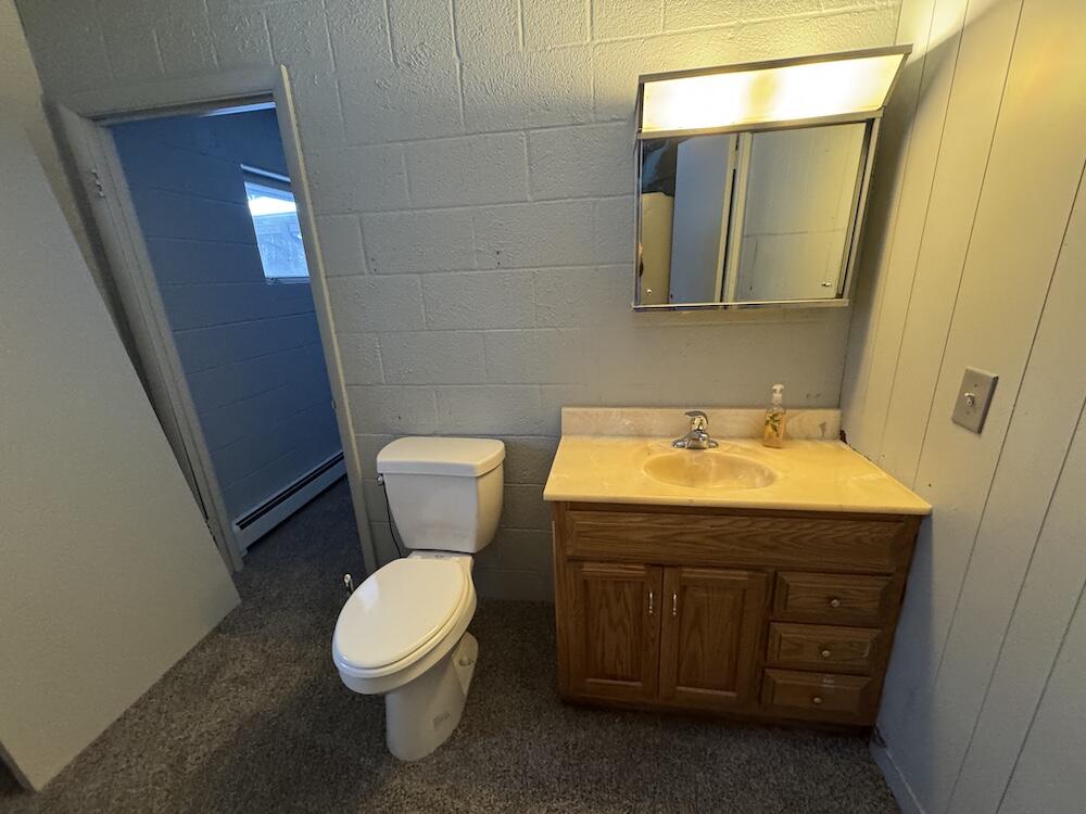 2500 West Quarter Line Road Sanford, MI 48657 - Photo 18 of 241 IMG_8916