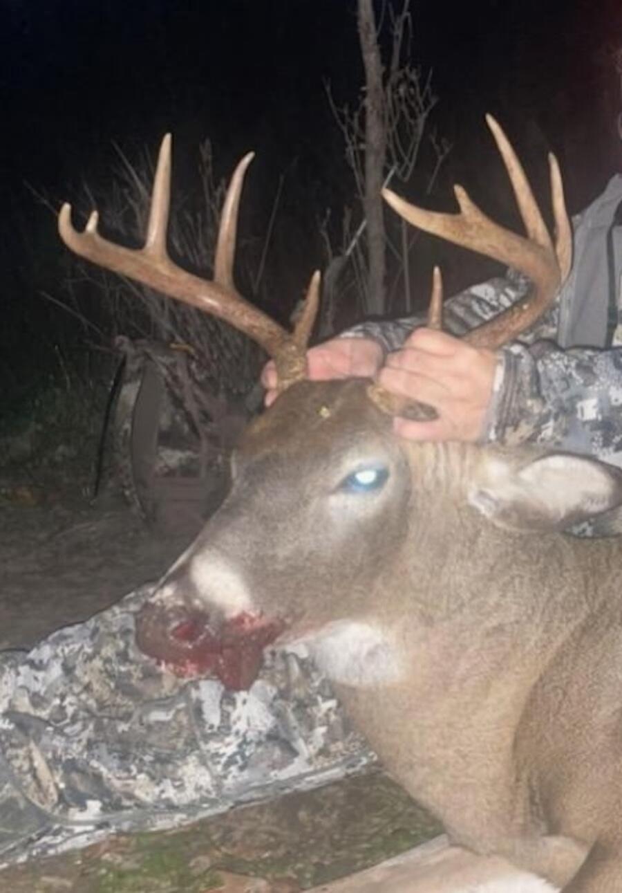 2500 West Quarter Line Road Sanford, MI 48657 - Photo 181 of 241 3