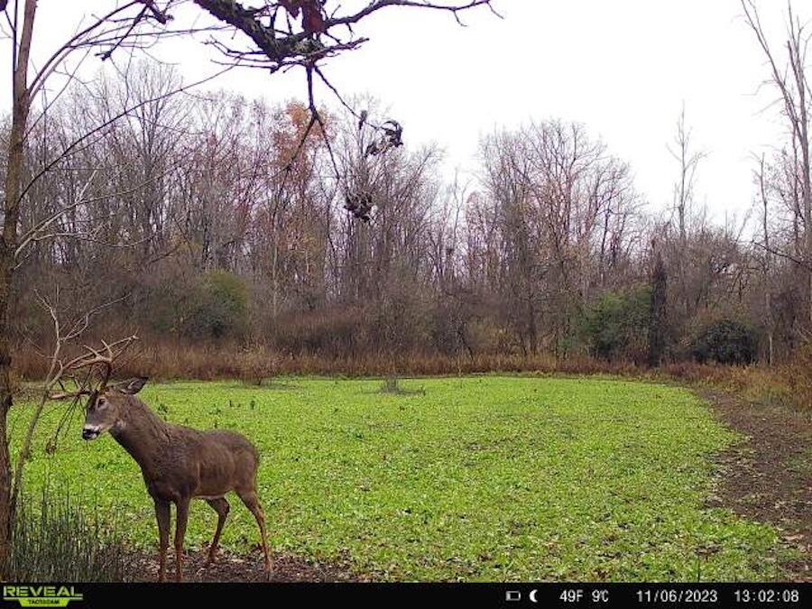 2500 West Quarter Line Road Sanford, MI 48657 - Photo 183 of 241 5