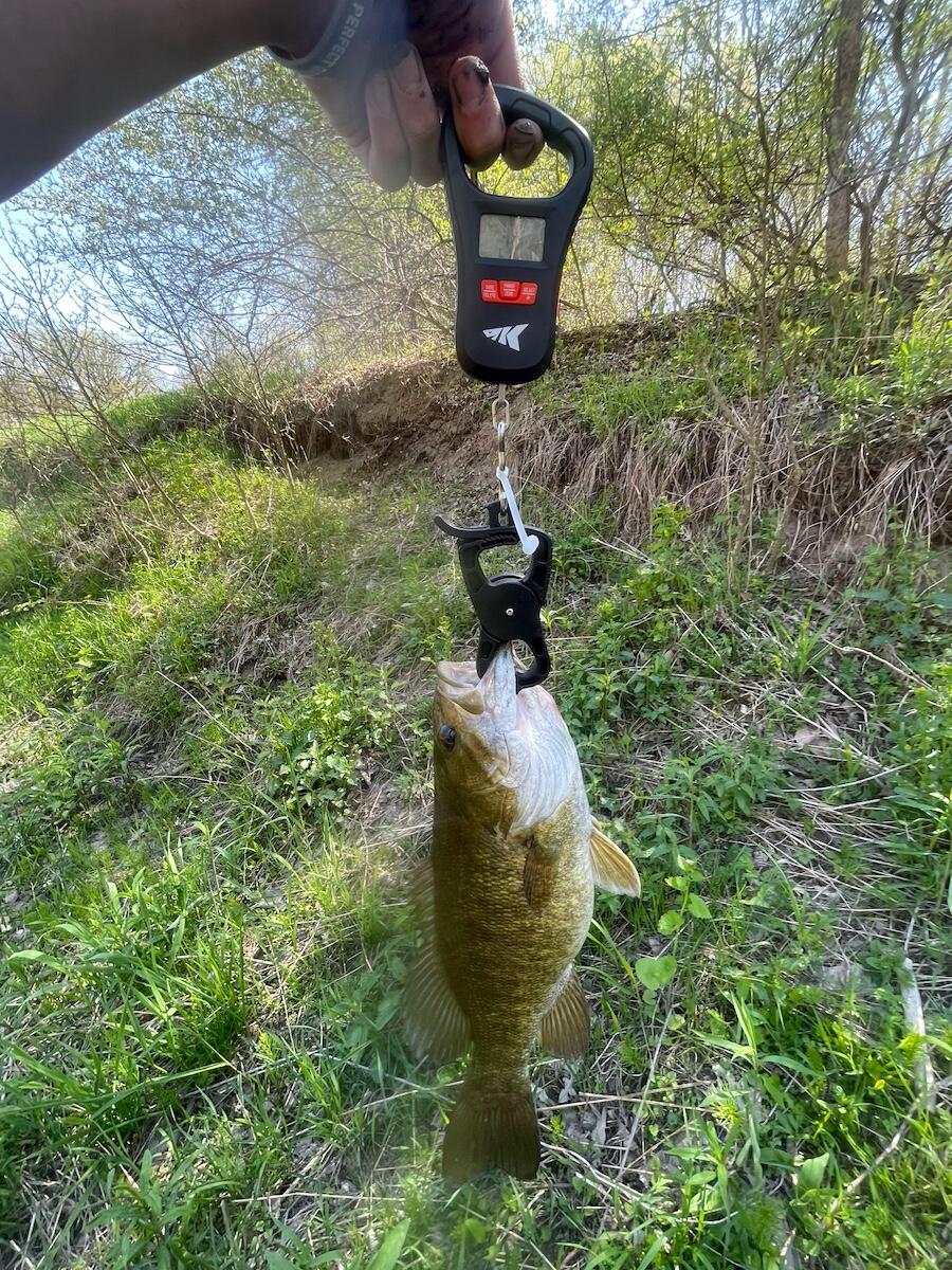 2500 West Quarter Line Road Sanford, MI 48657 - Photo 189 of 241 11