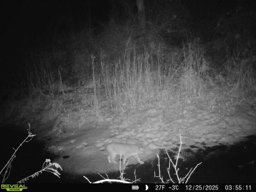 2500 West Quarter Line Road Sanford, MI 48657 - Photo 194 of 241 152404549727386915