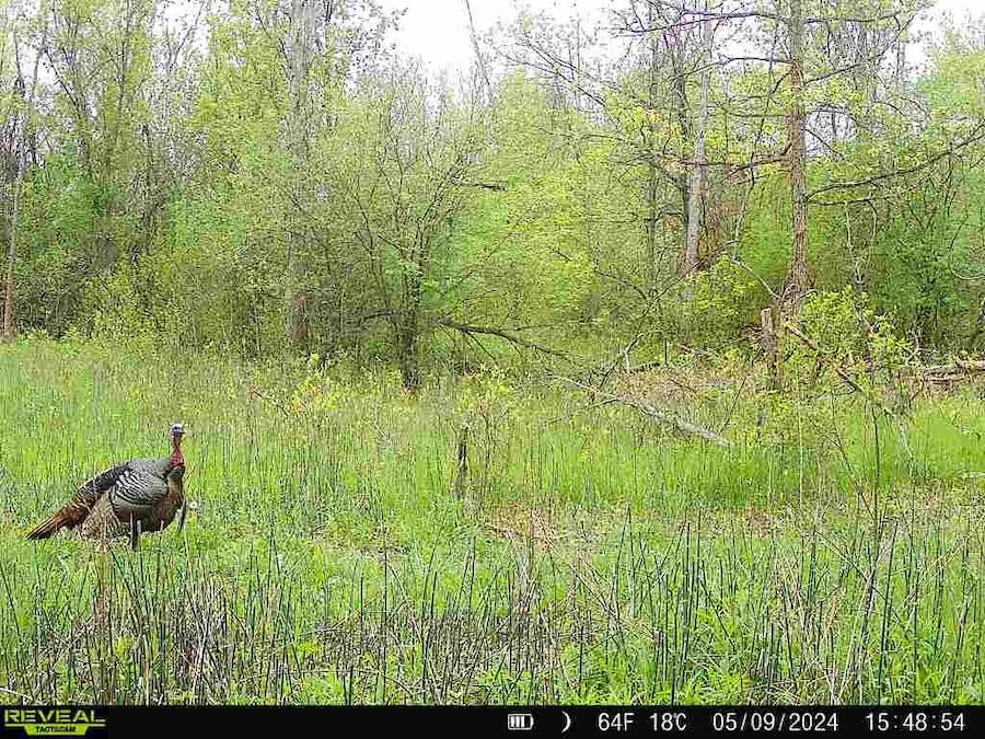 2500 West Quarter Line Road Sanford, MI 48657 - Photo 198 of 241 865755853268923847