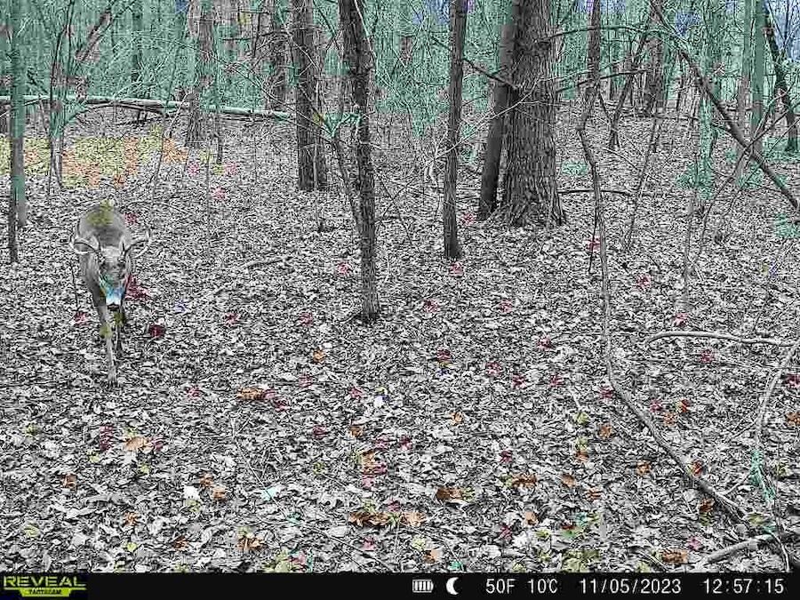 2500 West Quarter Line Road Sanford, MI 48657 - Photo 201 of 241 1685249926446712495