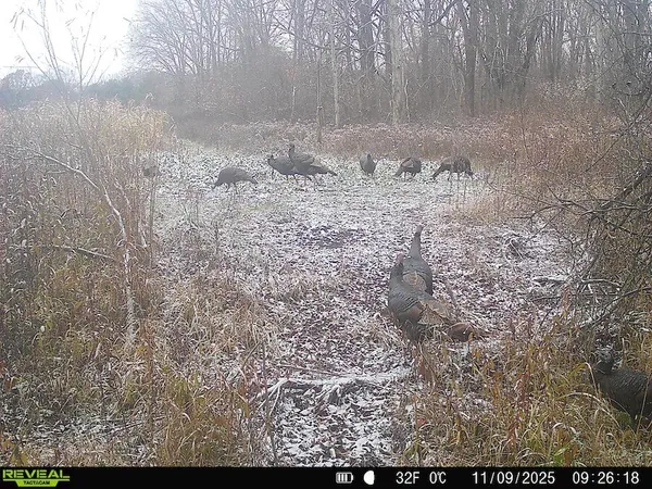 $785,000 | 2500 West Quarter Line Road, Sanford, MI 48657