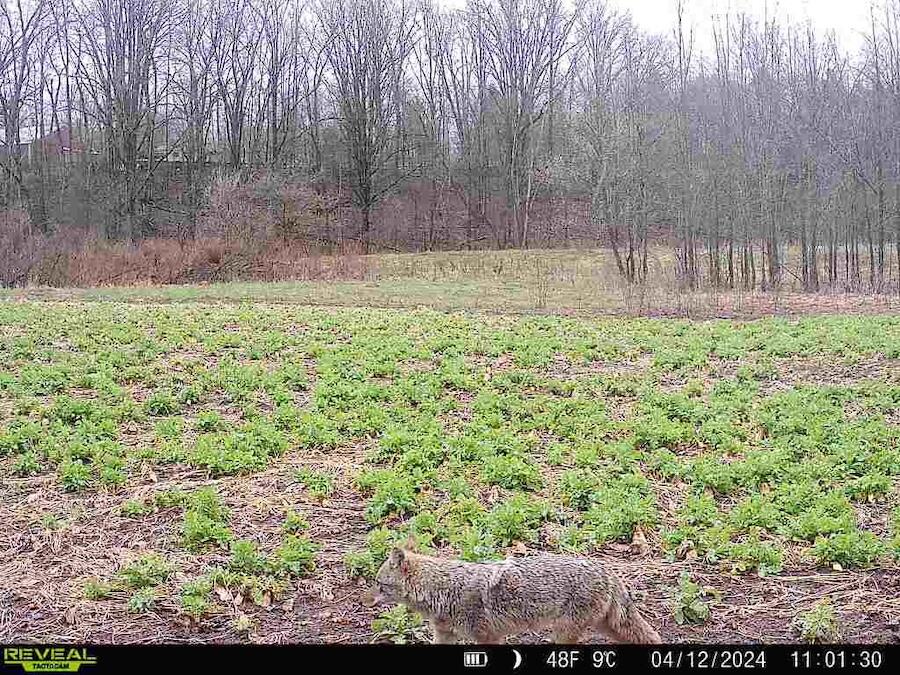 2500 West Quarter Line Road Sanford, MI 48657 - Photo 204 of 241 2264084732058346847 2