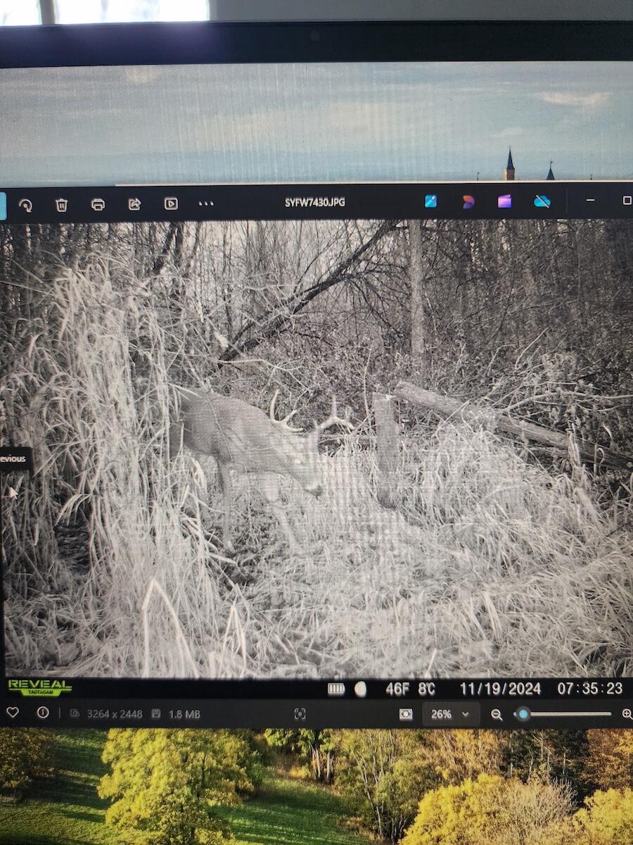 2500 West Quarter Line Road Sanford, MI 48657 - Photo 216 of 241 5199345315967604264