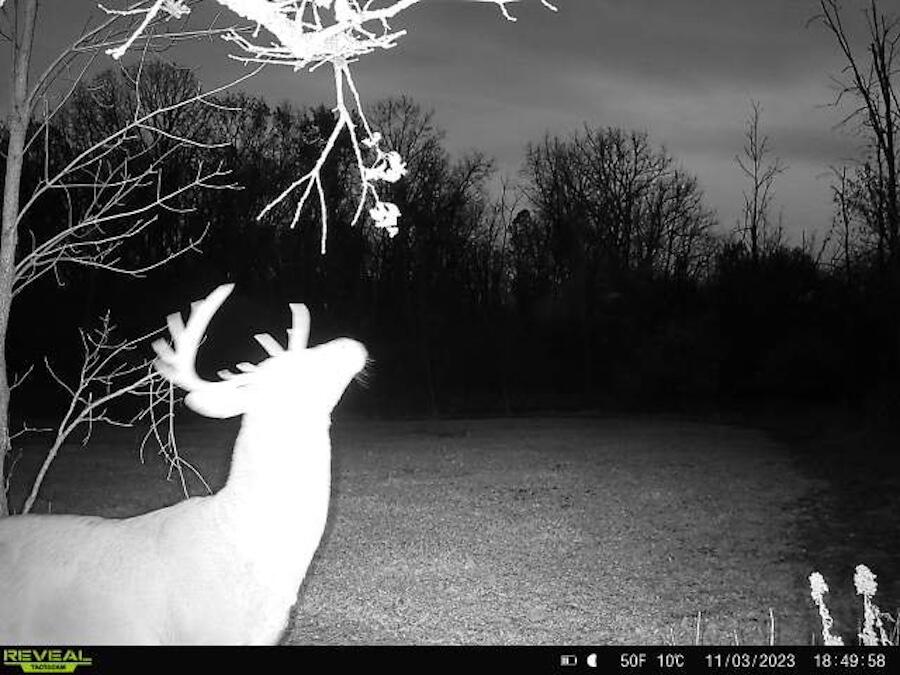 2500 West Quarter Line Road Sanford, MI 48657 - Photo 221 of 241 5731673302128090290