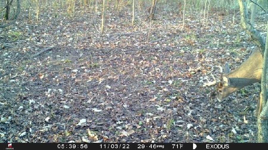 2500 West Quarter Line Road Sanford, MI 48657 - Photo 228 of 241 6901387131376437580