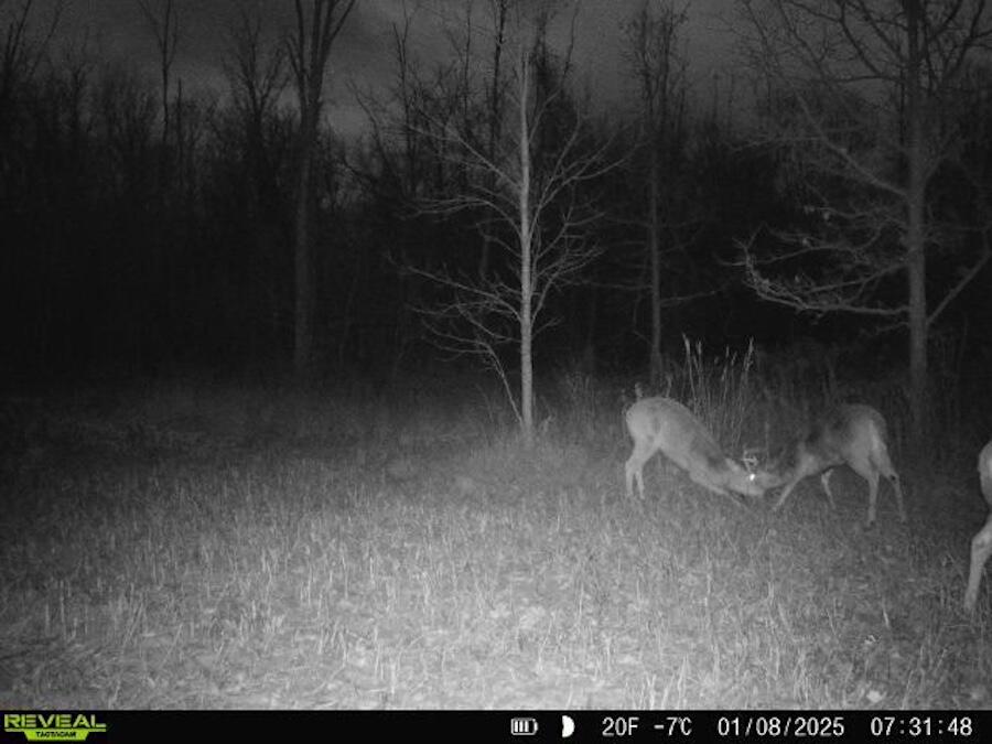 2500 West Quarter Line Road Sanford, MI 48657 - Photo 230 of 241 7349032978799621443