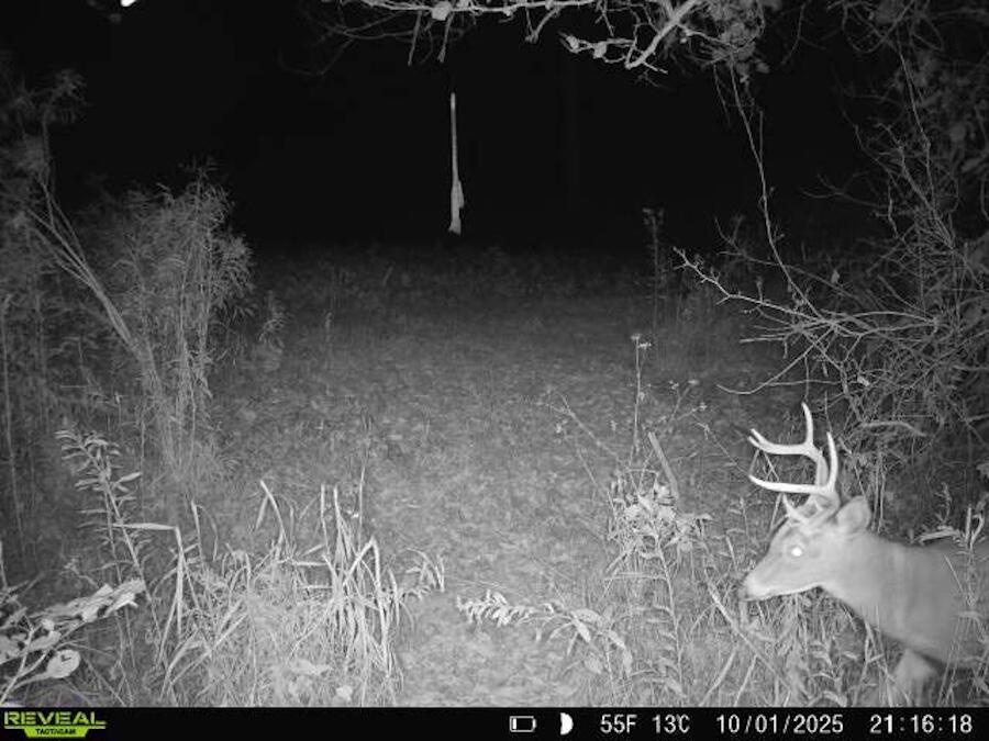 2500 West Quarter Line Road Sanford, MI 48657 - Photo 238 of 241 8382210170983574591