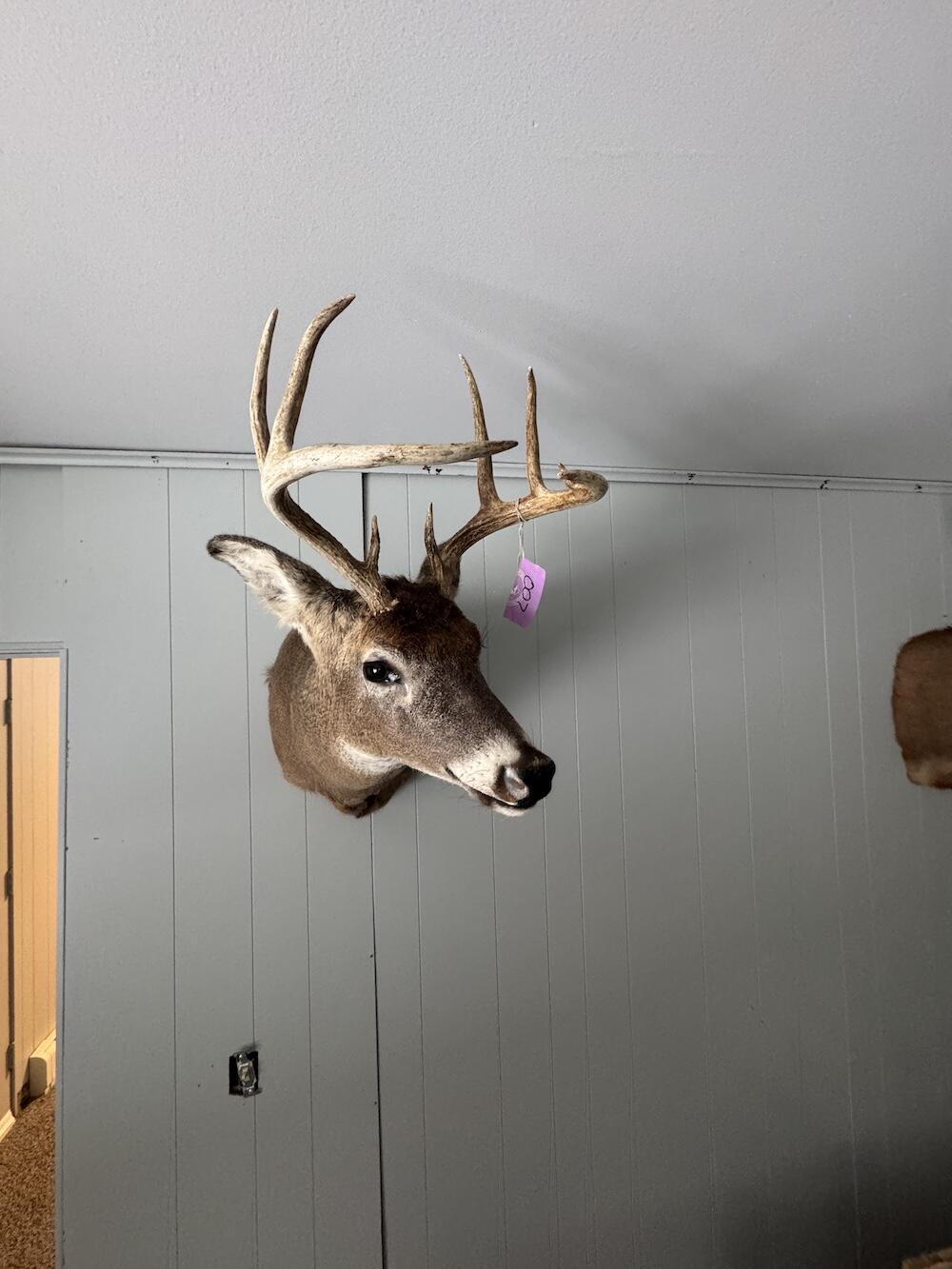 2500 West Quarter Line Road Sanford, MI 48657 - Photo 33 of 241 IMG_8936