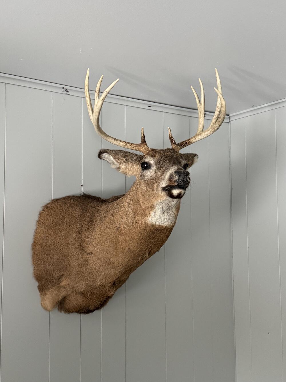 2500 West Quarter Line Road Sanford, MI 48657 - Photo 34 of 241 IMG_8937