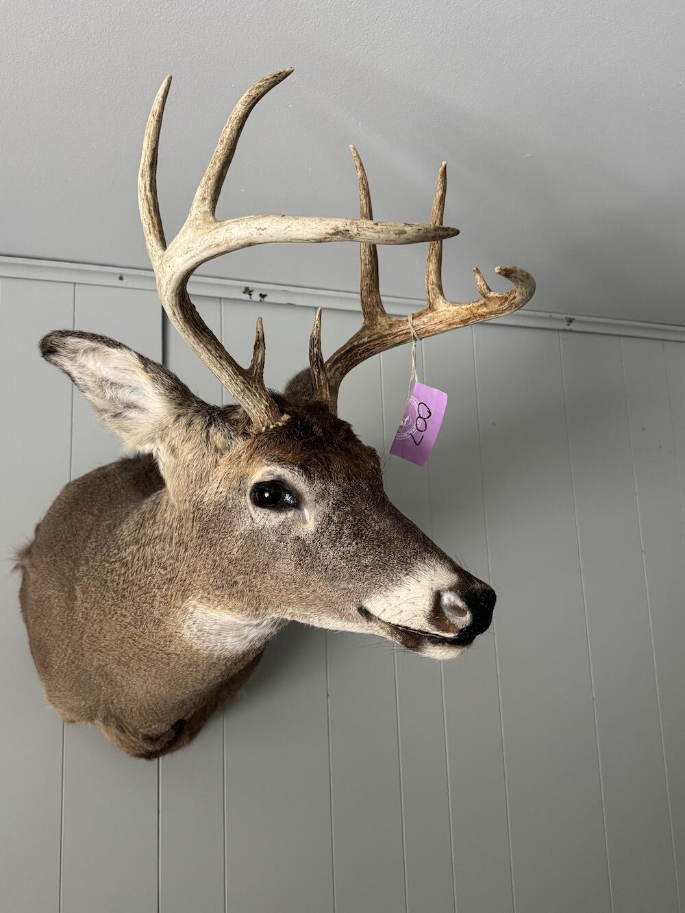 2500 West Quarter Line Road Sanford, MI 48657 - Photo 36 of 241 IMG_8939