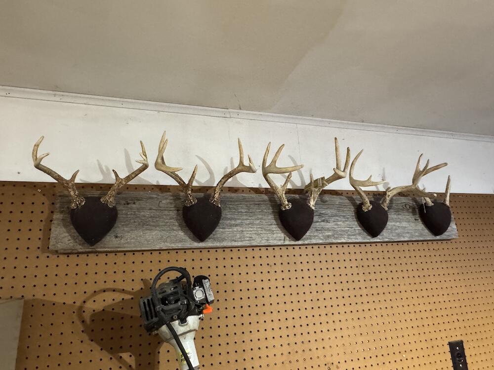 2500 West Quarter Line Road Sanford, MI 48657 - Photo 45 of 241 IMG_8951