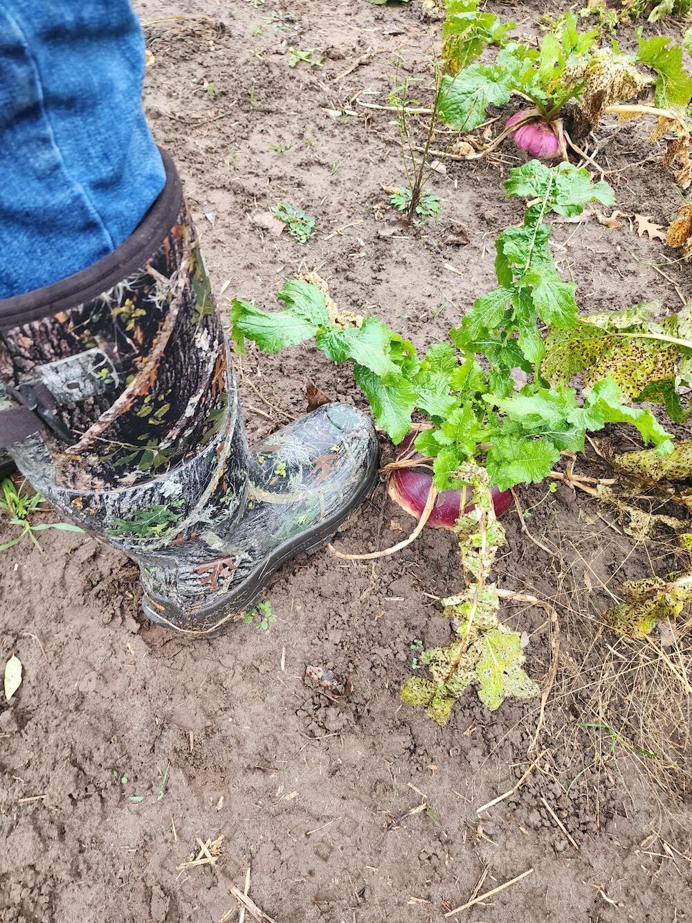 2500 West Quarter Line Road Sanford, MI 48657 - Photo 61 of 241 8034356446631061206