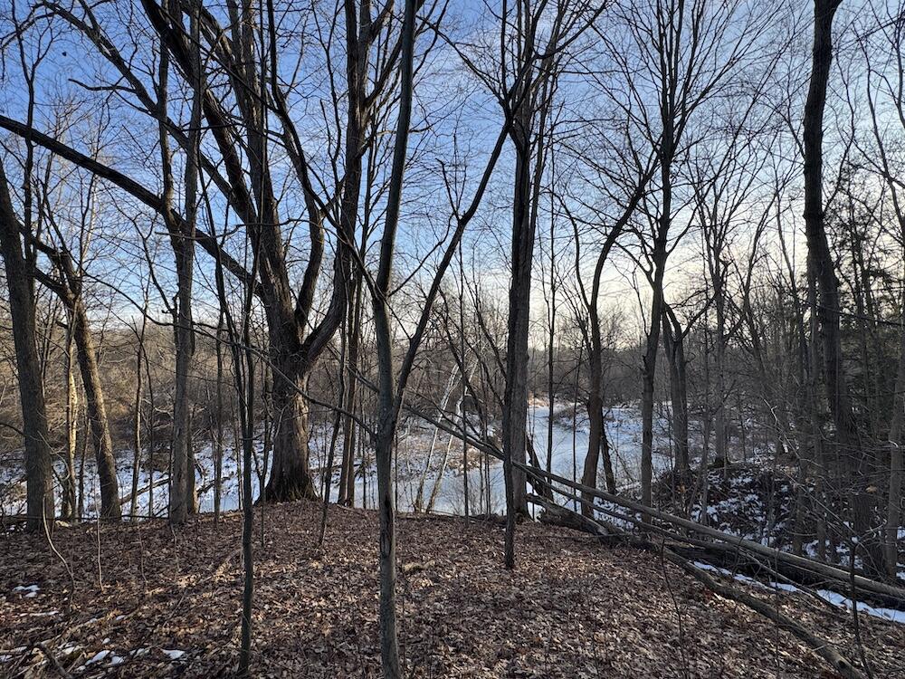 2500 West Quarter Line Road Sanford, MI 48657 - Photo 94 of 241 IMG_8355