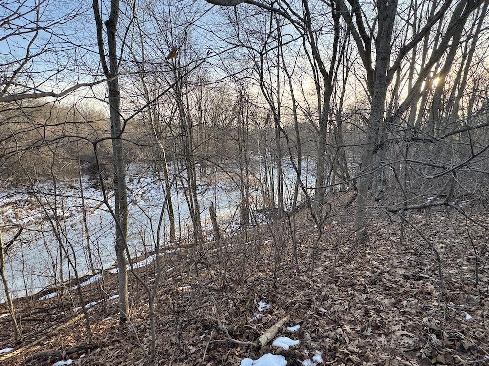 2500 West Quarter Line Road Sanford, MI 48657 - Photo 95 of 241 IMG_8356